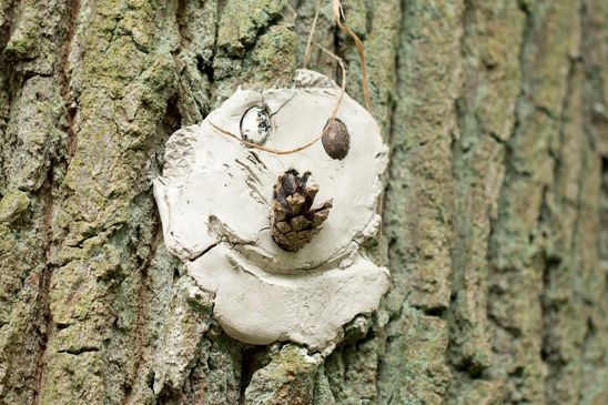 Gefunden an einem Baum im Wald irgendwo zwischen Hessen und Baden Württemberg 