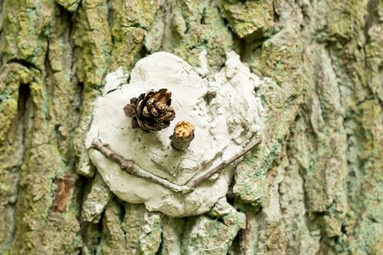 Gefunden an einem Baum im Wald irgendwo zwischen Hessen und Baden Württemberg 