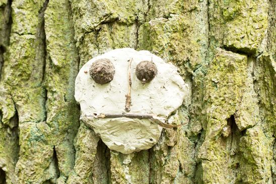 Gefunden an einem Baum im Wald irgendwo zwischen Hessen und Baden Württemberg 