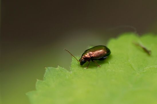  ( Baden - Württemberg  Juni 2023 )